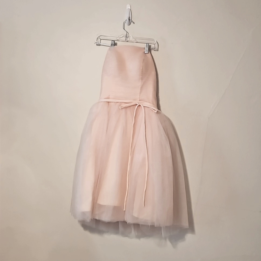 Chicwish S dress ballerina pink